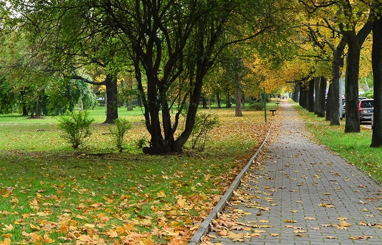 Změňte svůj Park Na Solidaritě