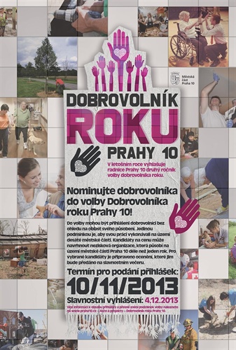 Dobrovolník roku 2013