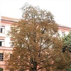Ilustrační obrázek
