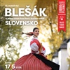 12. malešický blešák & MIKRO STREET FOOD FEST Slovensko