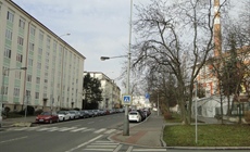 Liniový park Ruská – informace o kácení a náhradní výsadbě