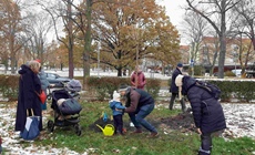 TZ: MČ Praha 10 v letech 2022–2025 vysadila 600 nových...