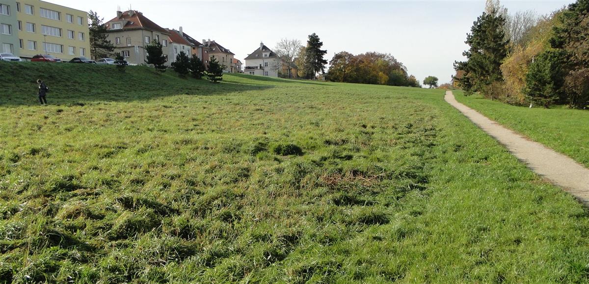 Zeleň-na-web.jpg