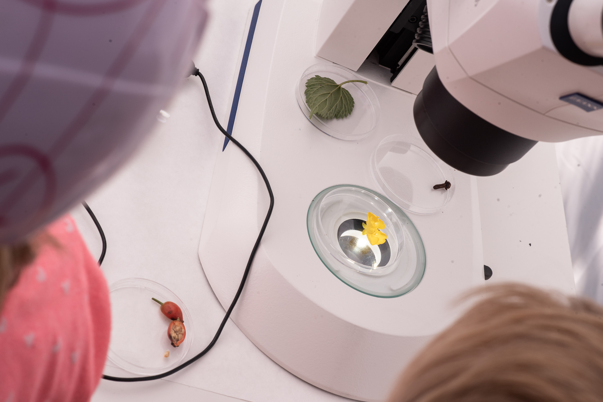 16_science_fest_kristyna.jpg