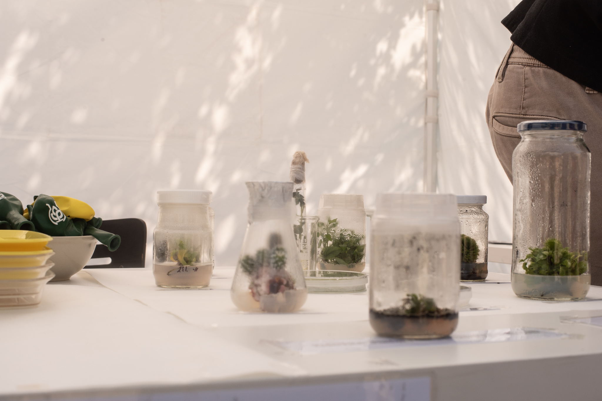 21_science_fest_kristyna.jpg