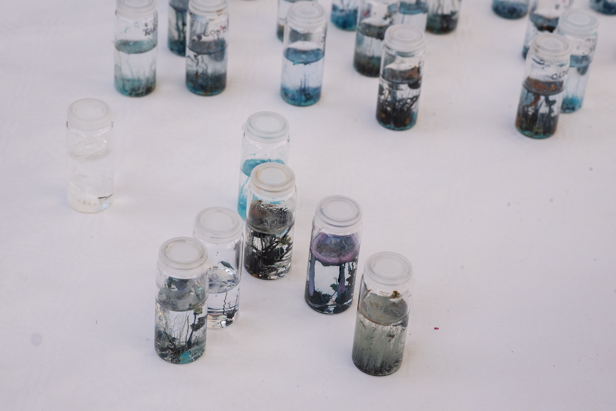 24_science_fest_kristyna.jpg