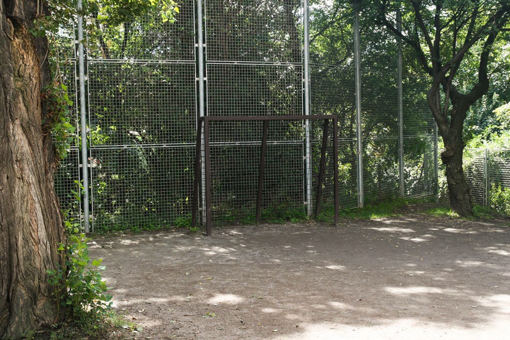 2226.jpg