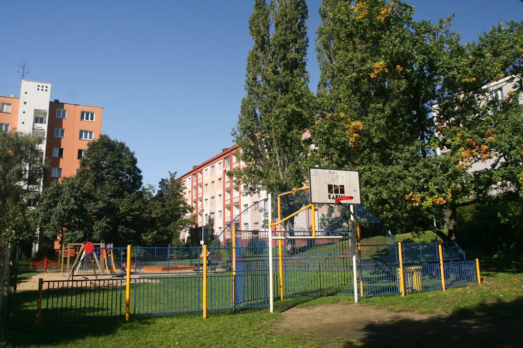 2306.jpg