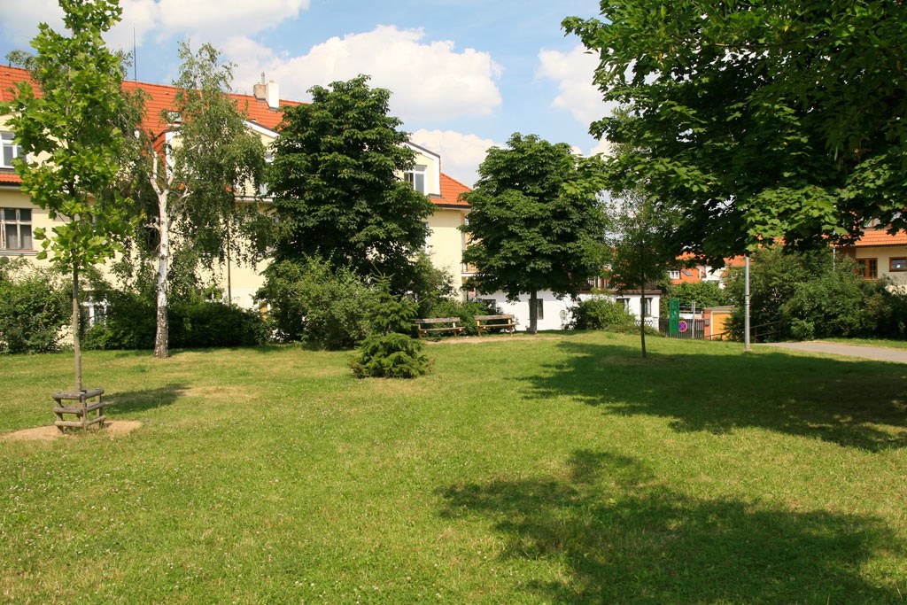 2470.jpg