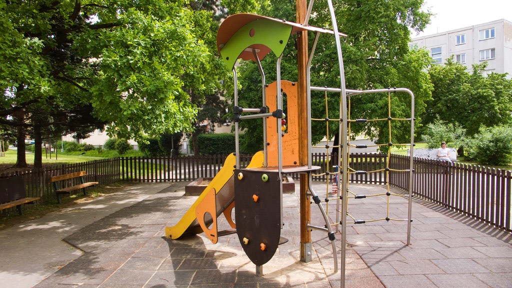 2484.jpg