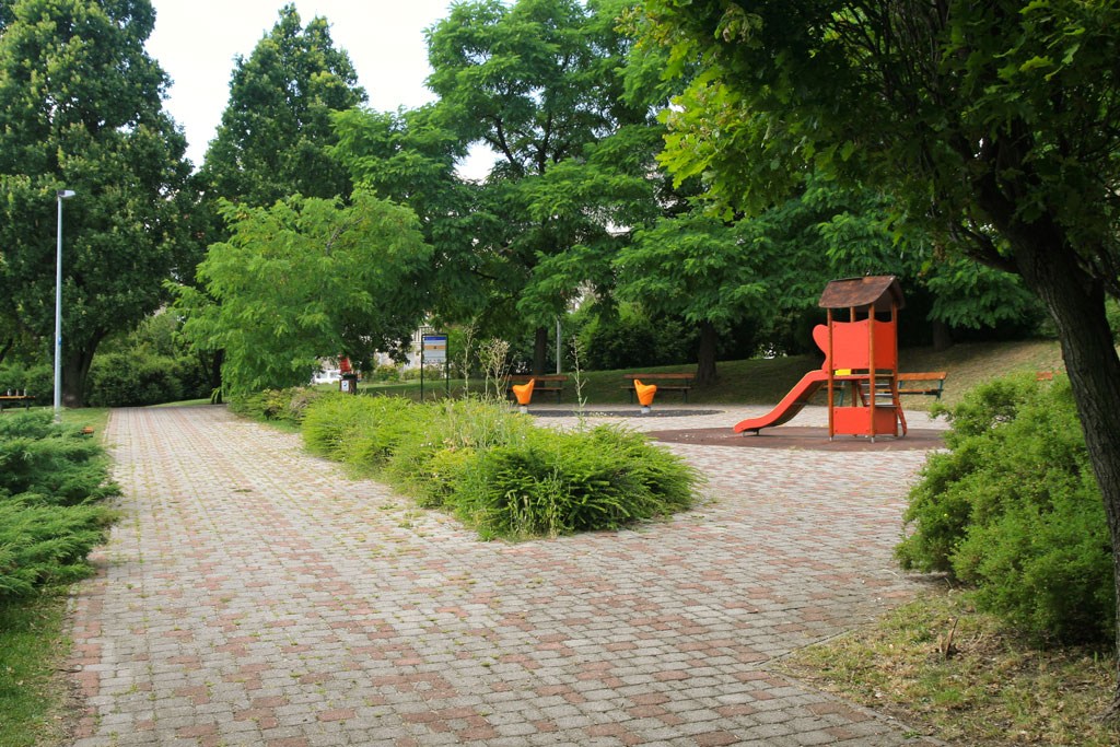 2519.jpg