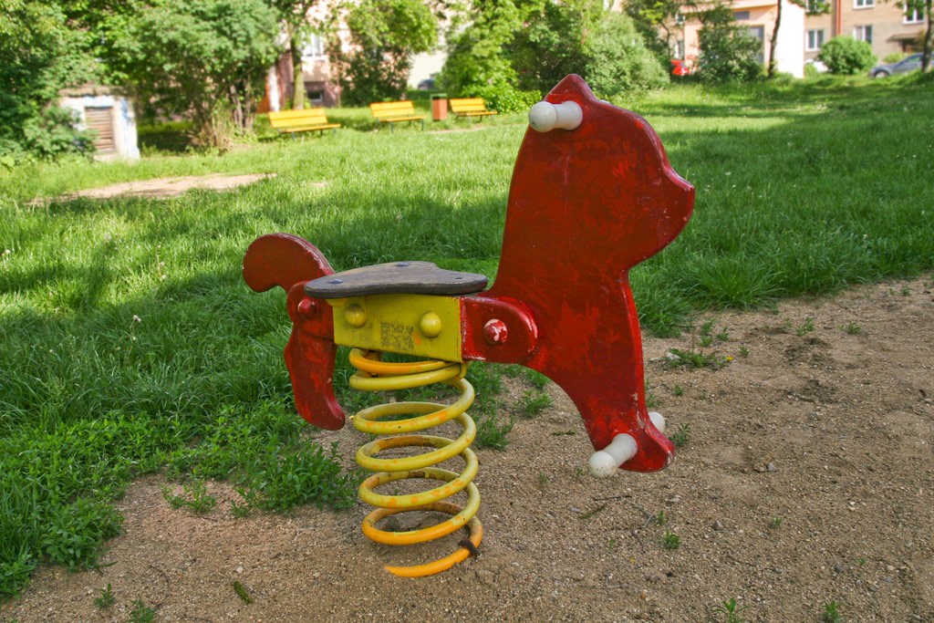 2543.jpg