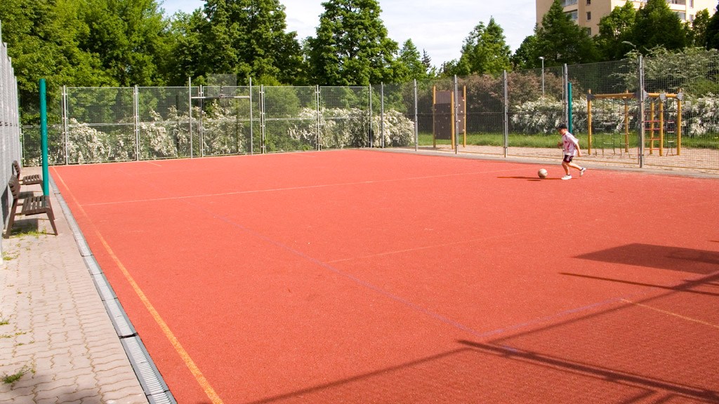 2564.jpg