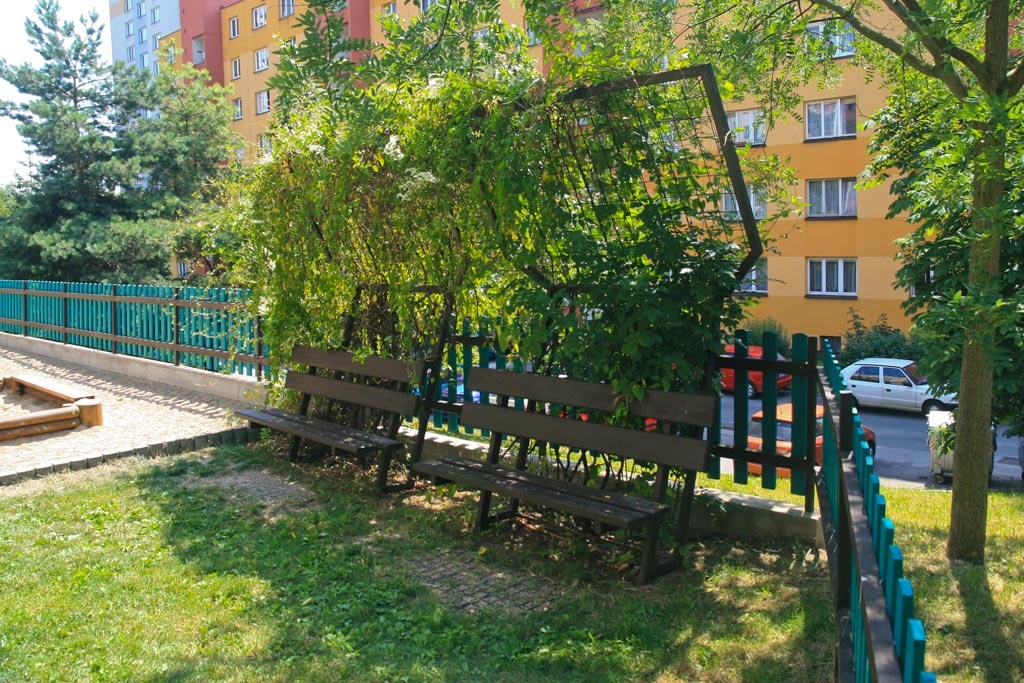 2596.jpg