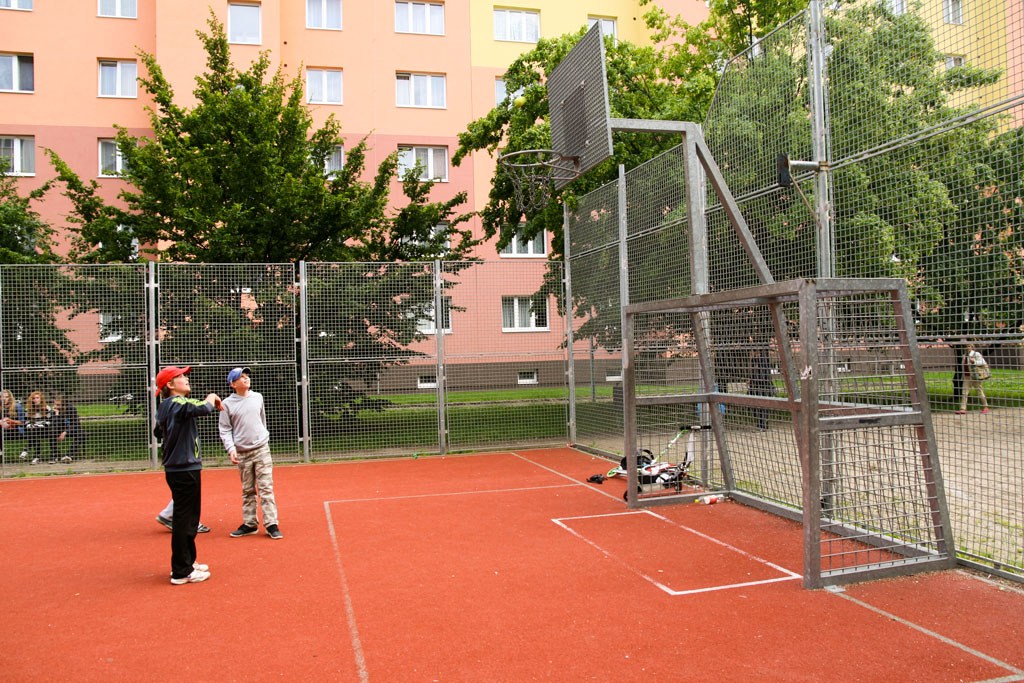 2629.jpg