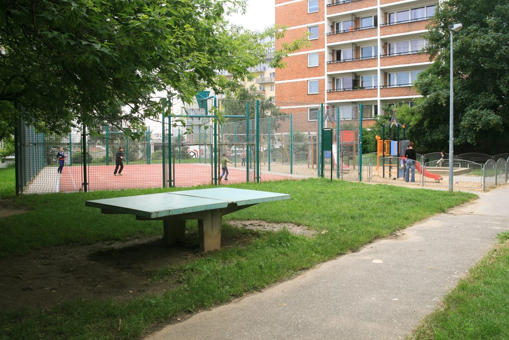 2650.jpg