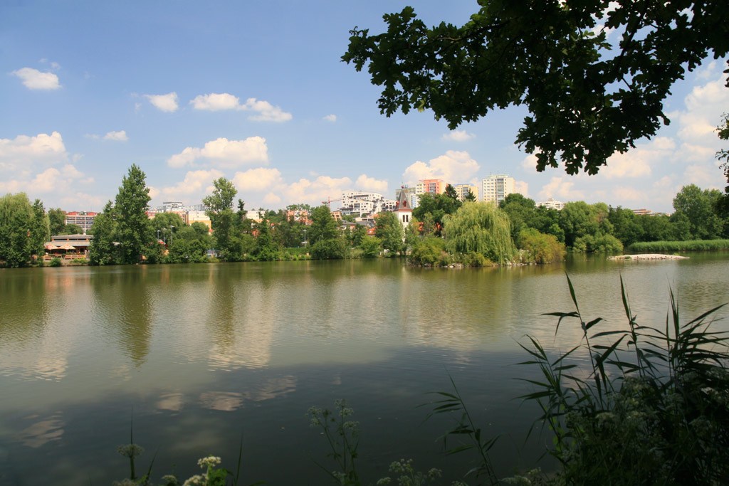 2674.jpg