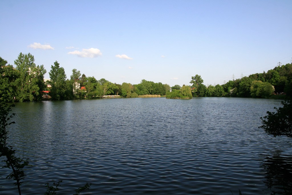 2675.jpg