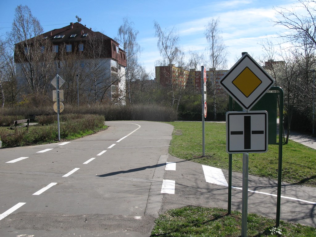 4290.jpg